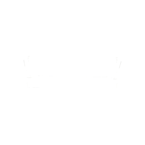 Hisense Lower Shelf - K2258430