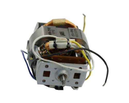 Delonghi Motor - HS1160