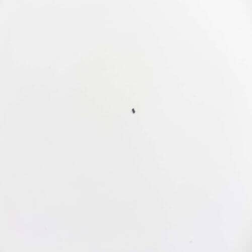 Bertazzoni Part# 403684 Handle Terminal - Genuine OEM