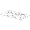 Frigidaire Part# 305379360 Main Cooktop Assembly (OEM)