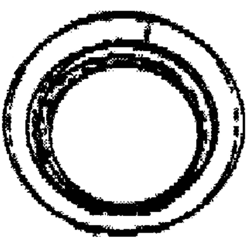 Homelite Part# 570358172 Fuel Hose Filter - Genuine OEM