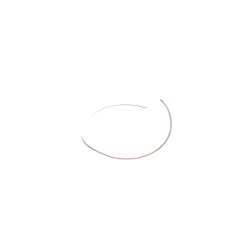 Sony Part# 4-592-801-11 Gap Washer - Genuine OEM