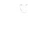 Breville Juice Jug Assembly - SP0000277