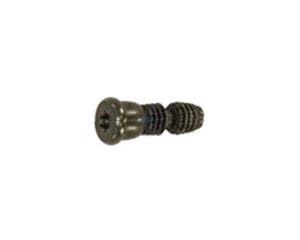 Whirlpool Part# W10143963 Hinge Screw (OEM)