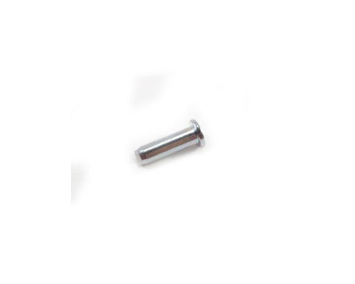 Ge Pin-Hinge - WB06X10060