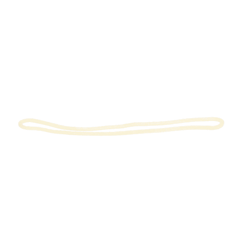 Whirlpool Part# 2222107 Door Gasket (OEM)