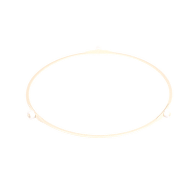 Whirlpool Turntable Ring W10859927