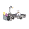 Whirlpool Gas Control Valve WPW10602001