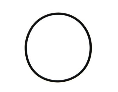 GE Water Filtration System Filter O Ring GXWH01C