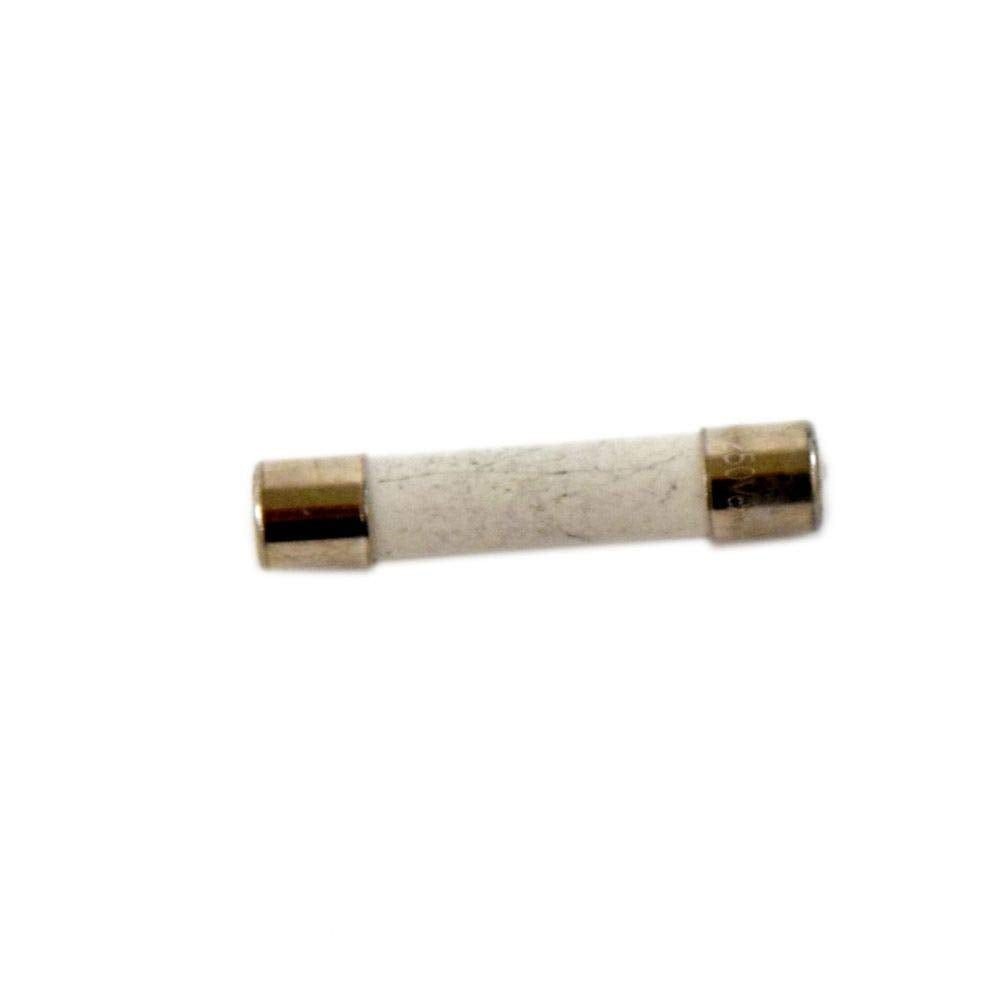 Bosch HMB50162UC/01 Fuse - Genuine OEM