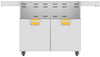 Hestan ECD42YW 42 Inch Double Door Cart with Marquise„ Accented Panels and Fold-Down Side Shelves - Yellow