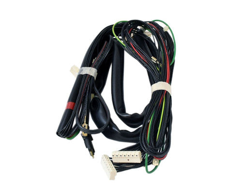 Fisher and Paykel DD24SCW6V2 Chassis Harness - Genuine OEM
