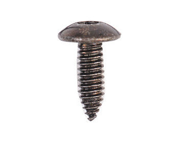 Electrolux Screw,Upper Hinge - 241904501