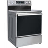 Hisense HBE3501CPS 5.8 Cu. Ft. 5 Elements, True Convection Freestanding Electric Range