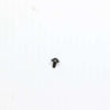 Lg Machine Screw - FAB30799501
