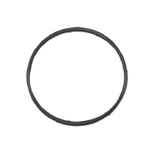 Frigidaire FRS23LH5DS9 Water Filter O-Ring Genuine OEM