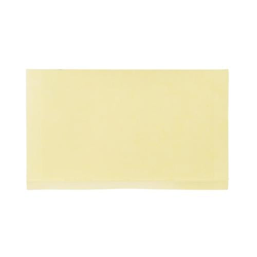 GE Part# WB06X10258 Lamp Cover (OEM)