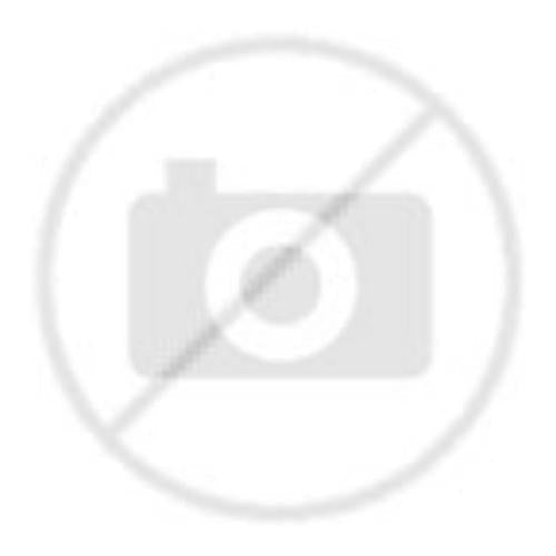 Bertazzoni Spark Plug 415076