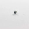 Saeco Part# 996530013156 Screw - Genuine OEM