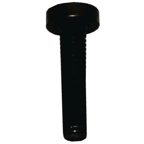 Bosch Screw - 10004531