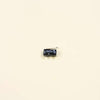 Panasonic Switch - SFDSSS01GL13