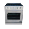 Dacor DR30GI Range