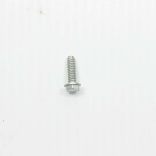 Whirlpool Hex Head Screw WP489497