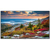 Panasonic TH55CQE1W 55-Inch Class 4K Uhd Lcd Display Parts
