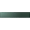 Samsung Part# RA-F36DMMQG/AA Door Middle Panel (Emerald Green) - Genuine OEM