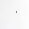 Denon Tapping Screw(S)3X8-Black - 0RD4737015018