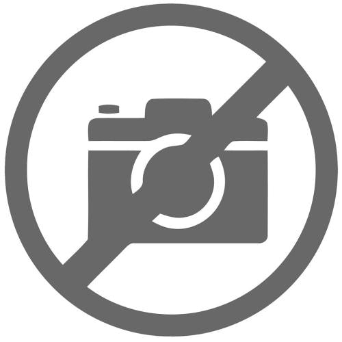 Sony MHSTS20/L Bloggie Touch Camera - 4 Hrs Video
