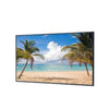 Panasonic TH55LF6 55 Inch Professional Indoor Lf Series Display Parts