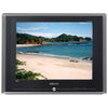 Samsung TXR2435 24 Inch CRT TV Parts