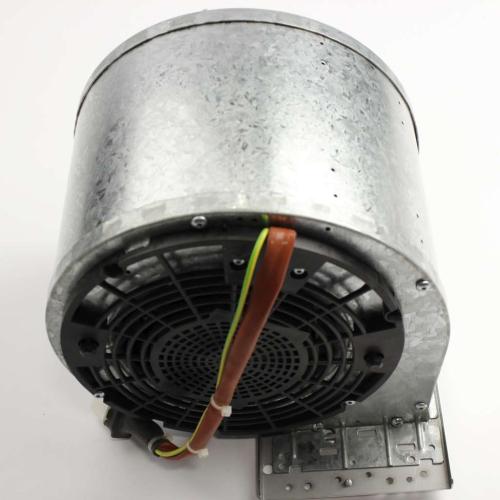 Elica Motors - AGR04387