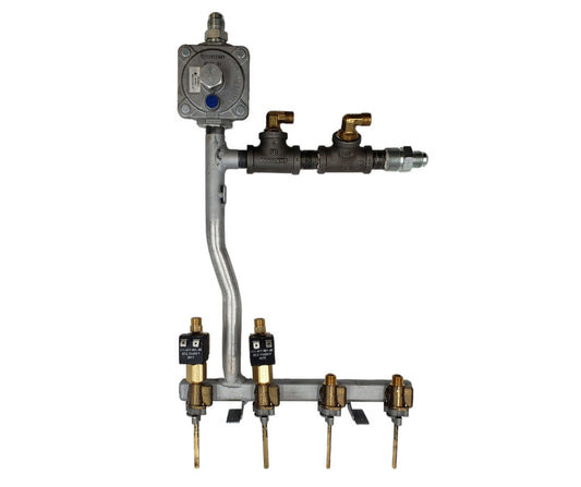 Bosch Manifold - 20000265