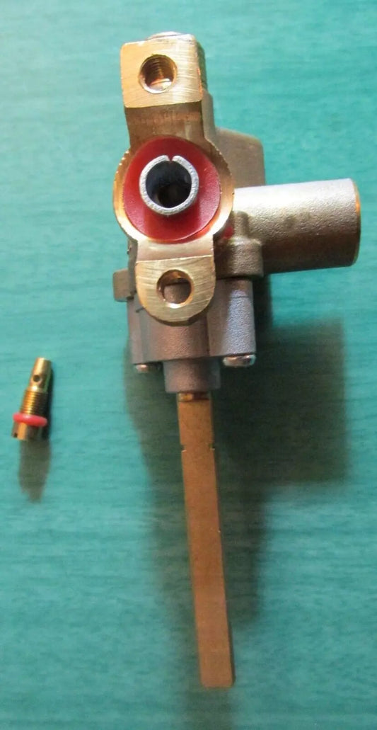 Fisher and Paykel Dual Flow Burner Valve 255197