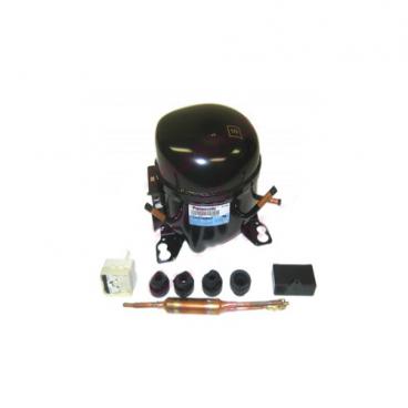 Amana A4TXCGFBW01 Compressor Kit - Genuine OEM