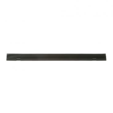 GE DDT575SSF4SS Dishwasher Tub Trim (Black) - Genuine OEM