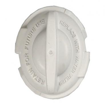 GE PFCS1PJXASS Water Filter Bypass - Genuine OEM