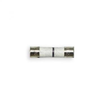 GE ZSC1001J2SS Replacement Line Fuse - Genuine OEM