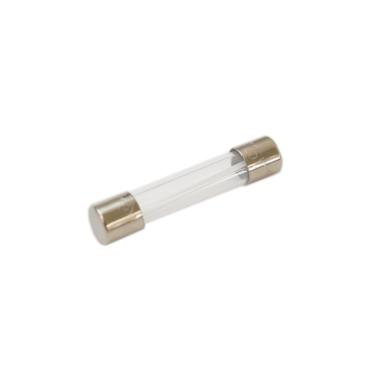 Frigidaire FGMO226NUFA Line Fuse - Genuine OEM