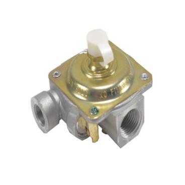 Gibson GGF314BAWB Pressure Regulator - Genuine OEM