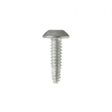 GE CFE28TSHQSS Torx Screw (1/4-20) - Genuine OEM