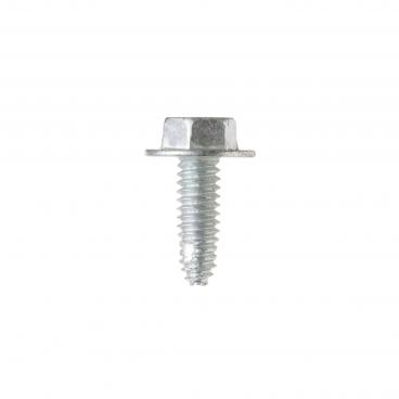 GE CFE28USHESS External Hex Screw (1/4-20) - Genuine OEM