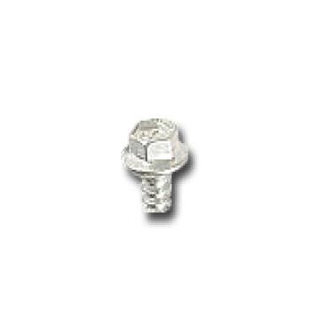 GE CWE23SSHESS Screw - Genuine OEM