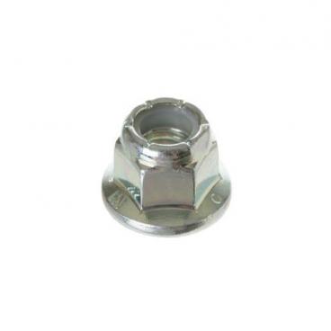 GE GTW485ASJ0WS Pulley Nut - Genuine OEM