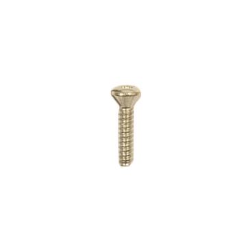 GE JGBP85BEJ1BB Torx Mounting Screw - Genuine OEM