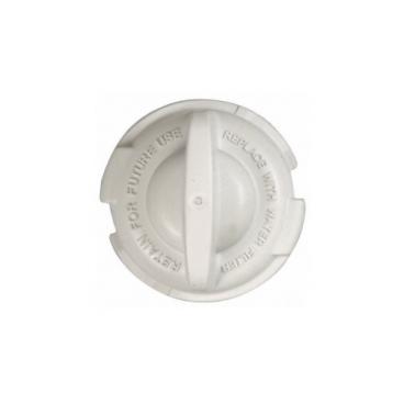 GE PFCF1NFXABB GSWF Water Filter Bypass Genuine OEM