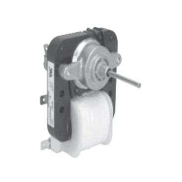 Hotpoint CTX14AYBHLWW Evaporator Motor - Genuine OEM