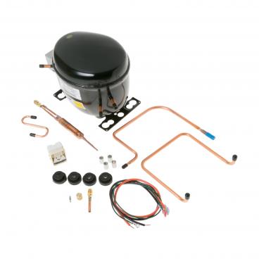 Kenmore 363.8789710 Compressor Kit (R-12) - Genuine OEM